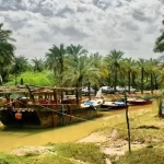 جزیره مینو جزیره ی نخل و نی جزیره مینو جزیره ی نخل و نی