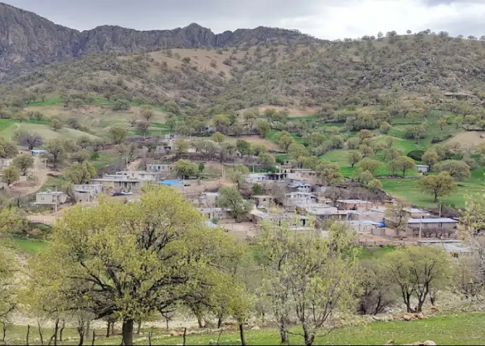 جزیره مینو جزیره ی نخل و نی