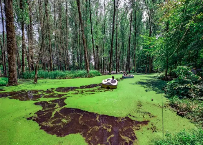 جاهای دیدنی رشت تالاب و پارک جنگلی