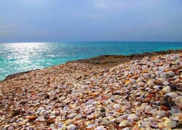 جزیره هندورابی