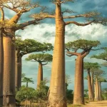 راهنمای سفر به آفریقای جنوبی