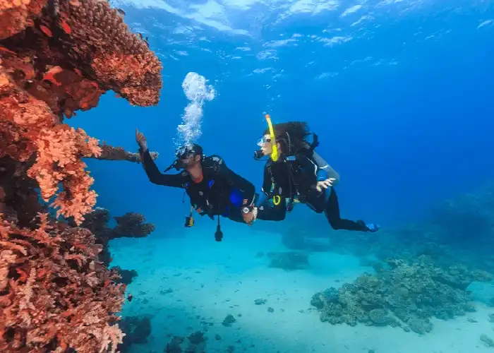 مرکز غواصی و تفریحات دریایی نگین ساحل قشم مرکز غواصی و تفریحات دریایی نگین ساحل قشم