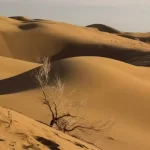 کویر مرنجاب