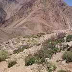 گردنه بیژن گردنه بیژن