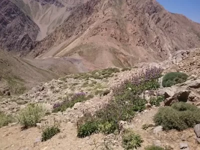 گردنه بیژن