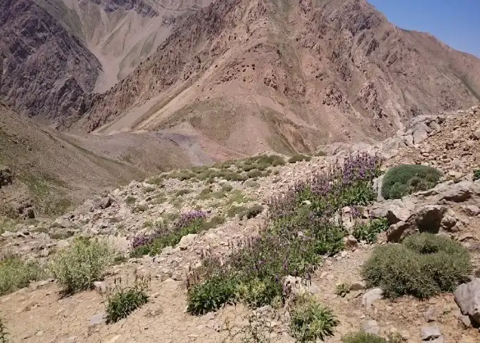 گردنه بیژن