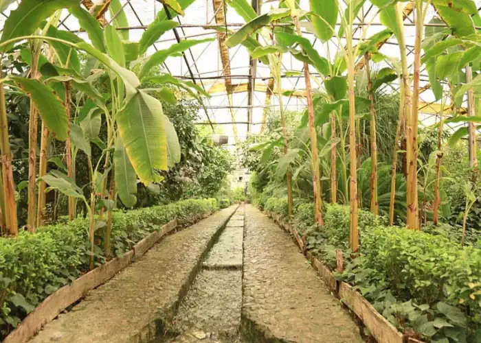 مساحت و جمعیت اصفهان