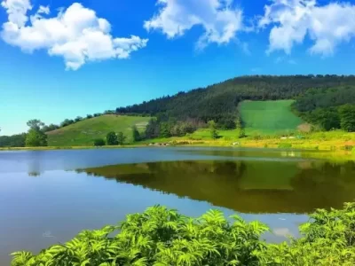 جاذبه های گردشگری گرگان- دریاچه توشن گرگان