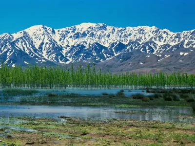 جاهای دیدنی چهارمحال و بختیاری-تالاب گندمان چهارمحال و بختیاری