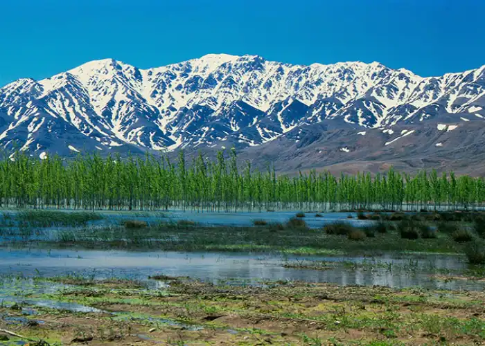 جاهای دیدنی چهارمحال و بختیاری-تالاب گندمان چهارمحال و بختیاری