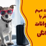 نکات مهم سفر با حیوانات شخصی