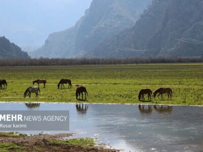 شناسایی ۳۳۰ روستای دارای ظرفیت توسعه گردشگری در خوزستان