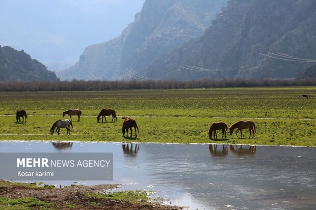 شناسایی ۳۳۰ روستای دارای ظرفیت توسعه گردشگری در خوزستان