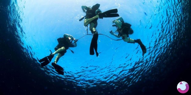 قشم: زمستان و اوایل بهار