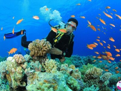 برای غواصی به کیش برویم یا قشم؟