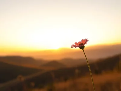 چرا سفر کردن می‌تواند کیفیت زندگی ما را ارتقا دهد؟