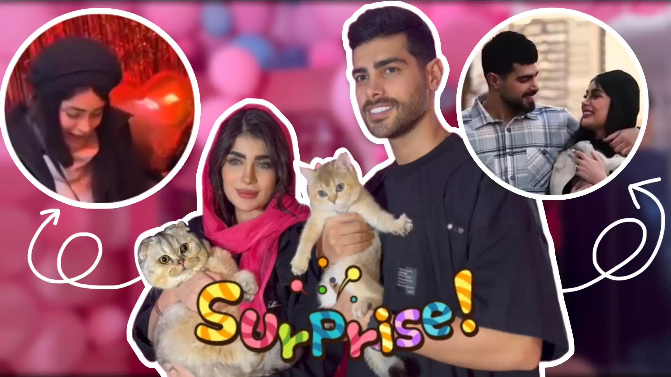 خرید گربه از سایمون