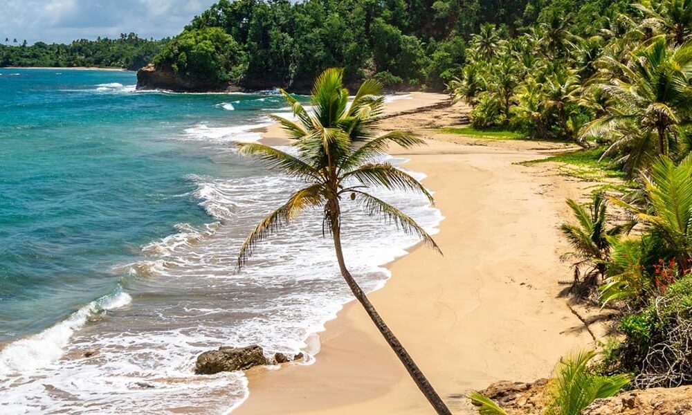 مزایای پاسپورت دومینیکا چیست؟ دروازه‌ای به سوی آزادی و فرصت‌های جهانی