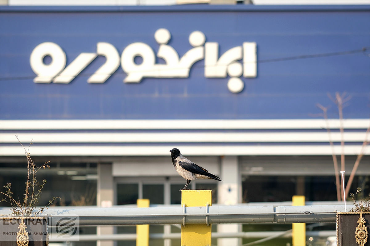 ایران خودرو در اولین طرح فروش خود در 1404 متقاضیان را شوکه کرد / دو ابهام بزرگ ایران خودرویی ها برای مشتریان / ایران خودرو جلوی سایپا کامبک زد ایران خودرو در اولین طرح فروش خود در 1404 متقاضیان را شوکه کرد / دو ابهام بزرگ ایران خودرویی ها برای مشتریان / ایران خودرو جلوی سایپا کامبک زد_6804e55cbd681.jpeg