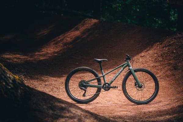 دوچرخه کوهستانی برند اسپشیالیزد