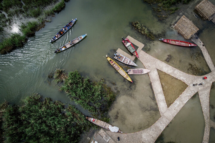 طبیعت و حیات‌وحش تالاب شادگان