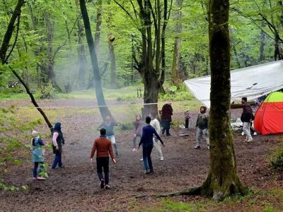 اقامت در پارک جنگلی نور؛ سفر به دل طبیعت