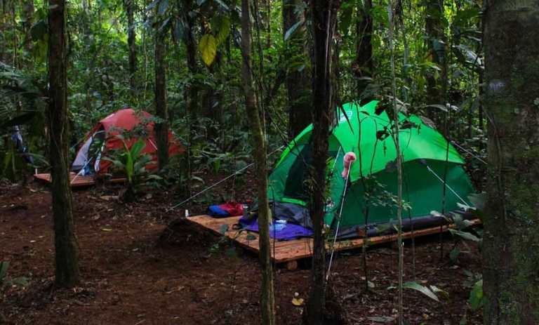 انواع اقامتگاه‌های اطراف پارک جنگلی