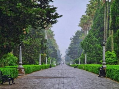 راهنمای سفر به شهرهای ساحلی شمال؛ کجا برویم؟ راهنمای سفر به شهرهای ساحلی شمال؛ کجا برویم؟
