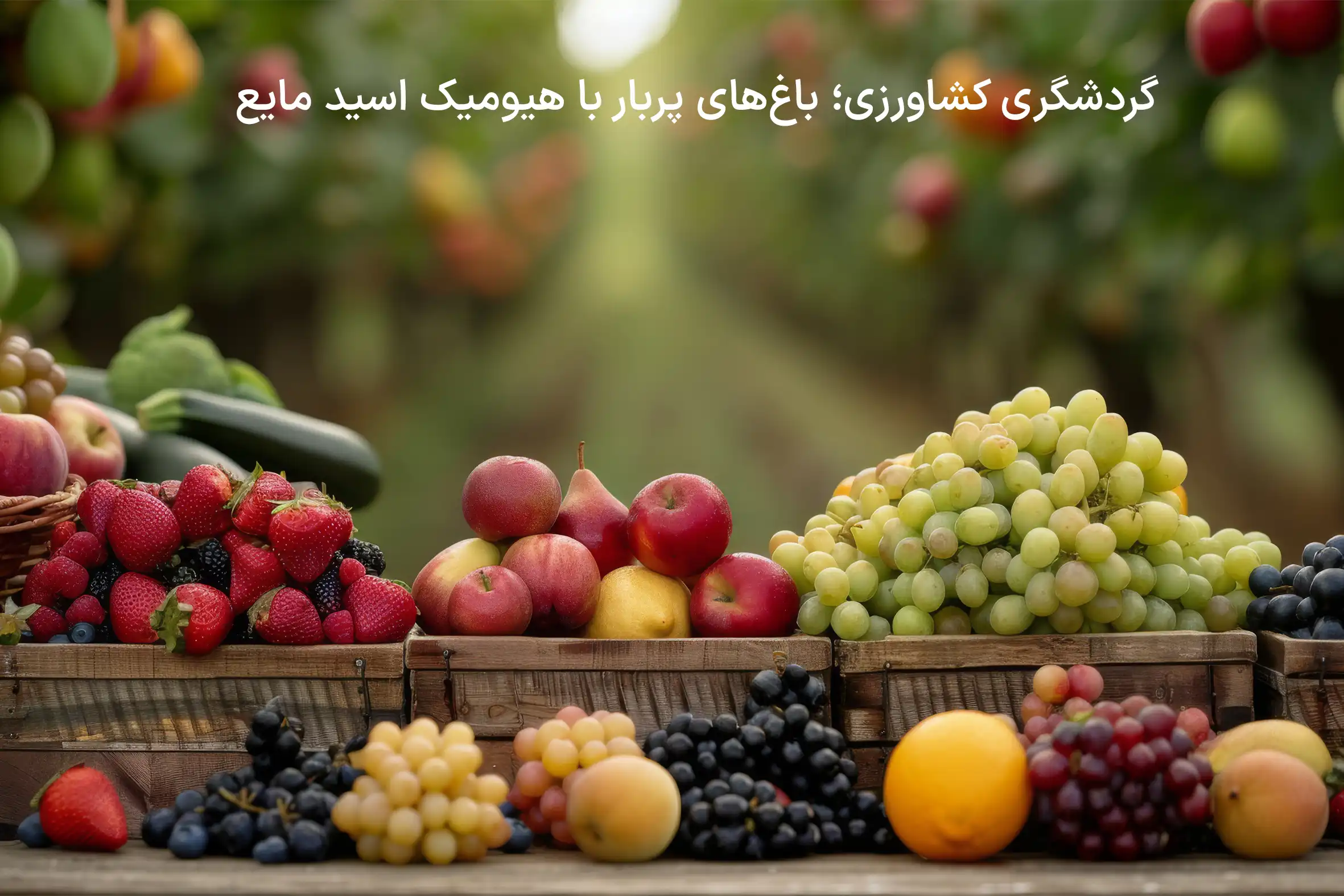 d9798023-5a8a-4070-9d41-8b400a7edb23