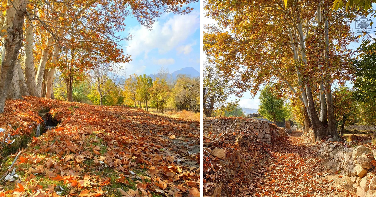 سفر برای پاییز در نیاسر