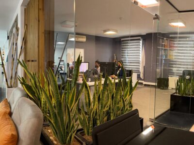 دفتر حامی ویزا در تهران