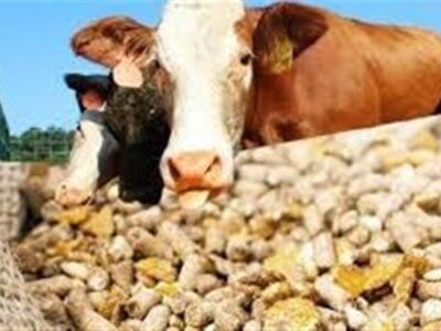 برخی افراد خاص ارز می‌گیرند و خالی فروشی می‌کنند