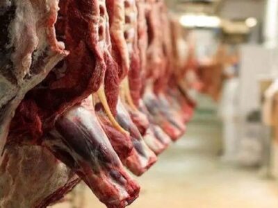 جنگ زرگری واردکنندگان و تولیدکنندگان گوشت علیه سفره مردم