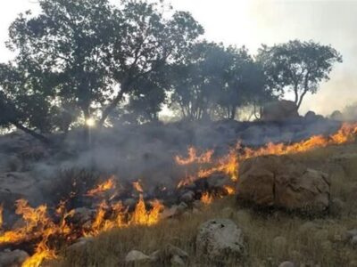 نباید اجازه دهیم حتی یک درخت در کشور طعمه حریق شود