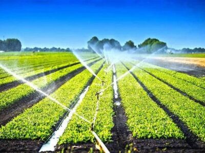 100 میلیون دلار تجهیزات آبیاری محصولات کشاورزی صادر شد