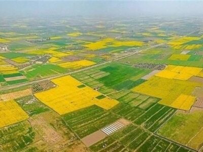 70 درصد اراضی کشاورزی سنددار شدند