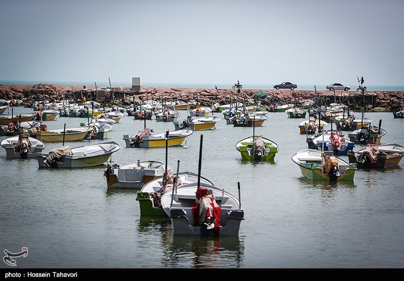 آغاز اجرای پروژه‌های بهسازی در 17 بندر ماهیگیری کشور
