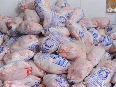 آغاز توزیع مرغ منجمد 125 هزار تومانی در تهران