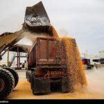 آغاز توزیع نهادههای دامی تحت کلید دولت/ امضای طلایی برنگردد آغاز توزیع نهادههای دامی تحت کلید دولت/ امضای طلایی برنگردد_69357428c98db.jpeg