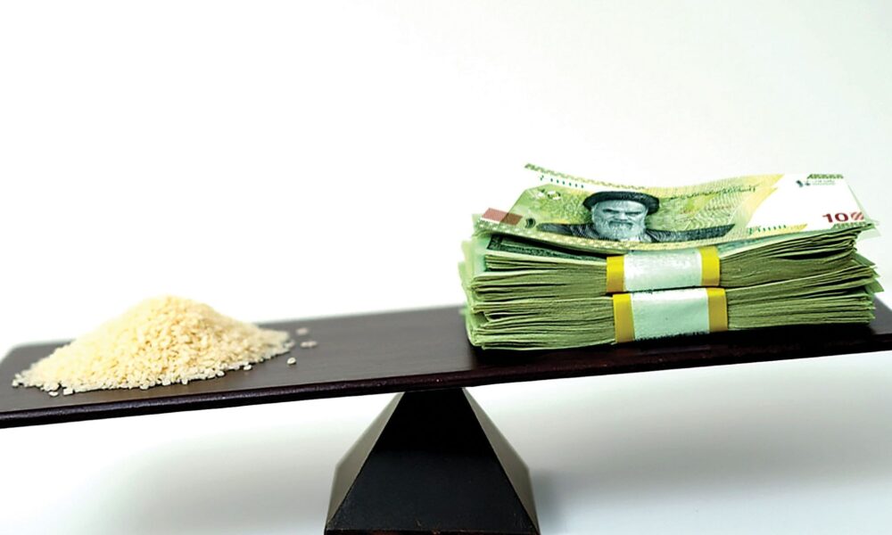 راه‌حل کنترل قیمت برنج صرفاً تخصیص یا حذف ارز ترجیحی نیست