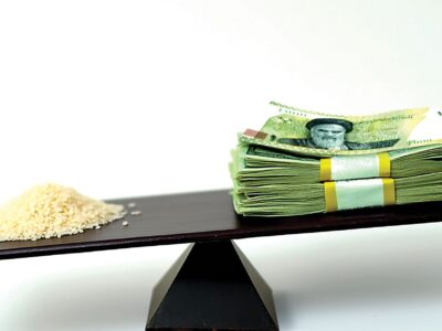 راه‌حل کنترل قیمت برنج صرفاً تخصیص یا حذف ارز ترجیحی نیست