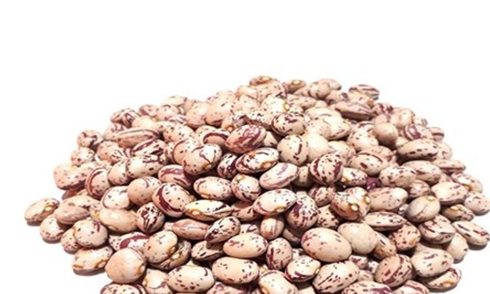 رشد 27 برابری قیمت لوبیا چیتی در 6 سال