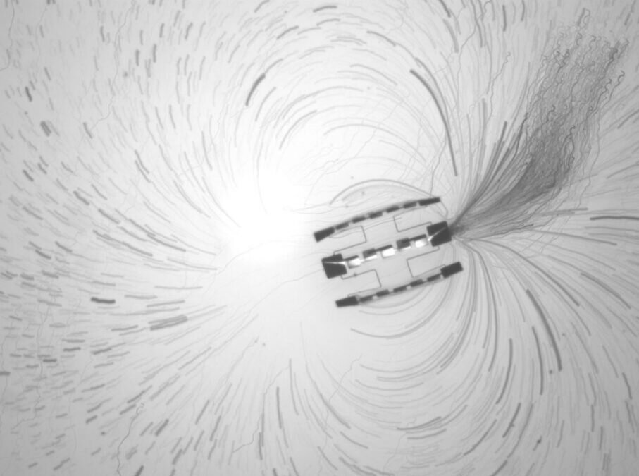 ساخت رباتی که از یک دانه نمک کوچکتر است ساخت رباتی که از یک دانه نمک کوچکتر است