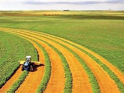 ضوابط کشت فراسرزمینی اعلام شد