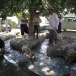 «نجات آب» ــ 43 | قانونگذاری برای توقف کشتهای غیراقتصادی در بحران آبی «نجات آب» ــ 43 | قانونگذاری برای توقف کشتهای غیراقتصادی در بحران آبی_692fd9a1667d6.jpeg