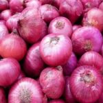 هسته‌ای در کشاورزی ــ 60| بیماری سفیدک پیاز، با فناوری هسته‌ای قابل کنترل است_692d8b81af63d.jpeg