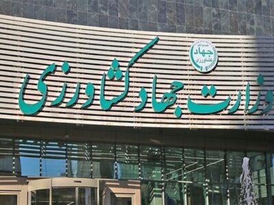 وزارت جهاد کشاورزی ریختن برنج به دریا را تکذیب کرد