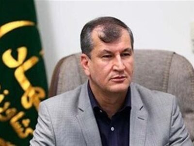 چالش‌های بودجه‌ای در مقابله با حمله ملخ صحرایی