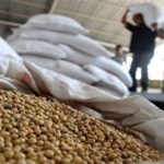 کاربرد فناوری هسته‌ای در جلوگیری از فساد سویا در انبار_695220a0777a2.jpeg