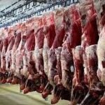 کاهش 7 درصدی عرضه گوشت قرمز در آبان_6942a3092522a.jpeg